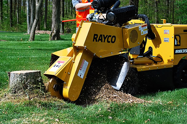 Stump Grinding Leicester