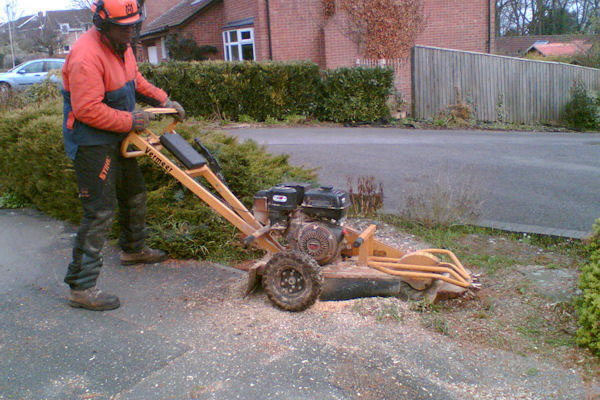 Stump Grinding Leicester